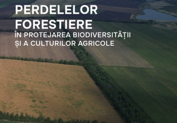 Rolul perdelelor forestiere în protejarea biodiversității și a culturilor agricole