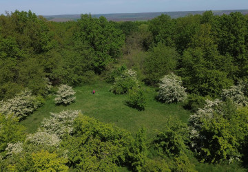 Improving governance of protected areas in Moldova through institutional development, capacity development and habitat restoration